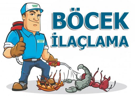 Çerkezköy Haşere İlaçlama